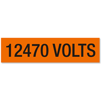 12470 Volts, Large (2-1/4 in. x 9 in.)