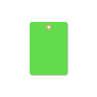 Fluorescent Green Vinyl Inspection Blank Tag