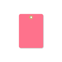 Fluorescent Pink Vinyl Inspection Blank Tag