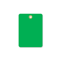 Green Vinyl Inspection Blank Tag