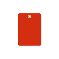 Red Vinyl Inspection Blank Tag