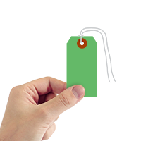 Dark Green Cardstock Tags (with strings)