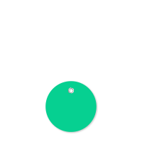 Dark Green Plastic Circular Tags With Metal Eyelet