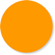 Fluorescent Orange Color Coded Label