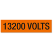 13200 Volts, Large (2-1/4 in. x 9 in.)