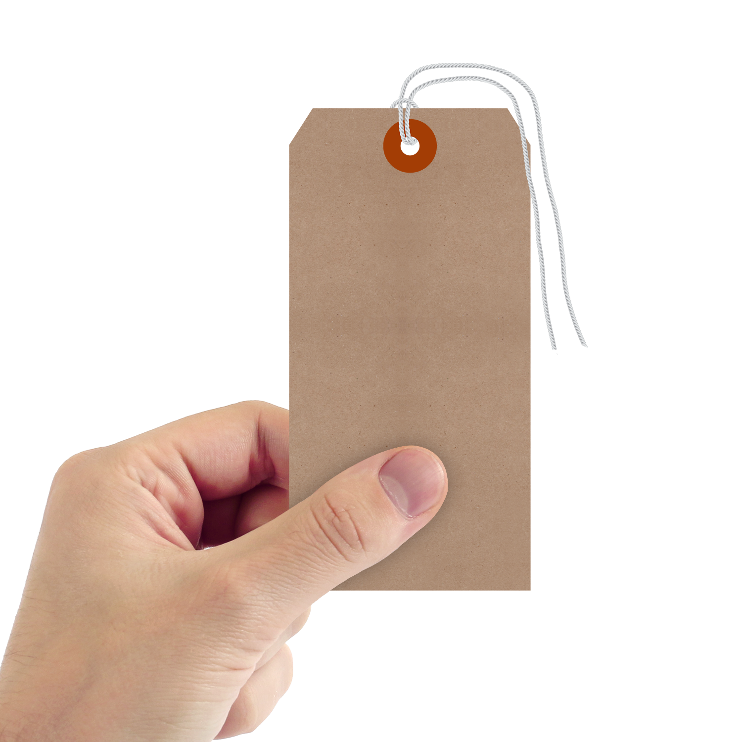 5¾ in. x 2-7/8 in. Recycled Kraft Shipping Tags (with strings