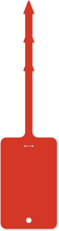 tag 2½ x 4 in. Red Self-Locking Blank Tags, SKU: TG-2116-RD