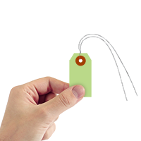 Light Green Cardstock Tags (with wires)