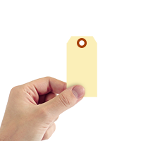 Manila 10-point Cardstock Tags (with 3/8 in. hole)