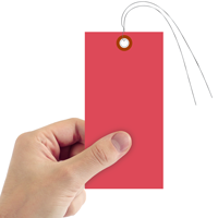 Tyvek Shipping Tag Red 